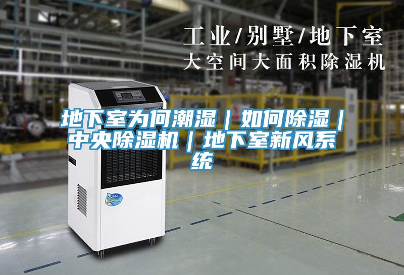 地下室為何潮濕｜如何除濕｜中央除濕機｜地下室新風(fēng)系統(tǒng)