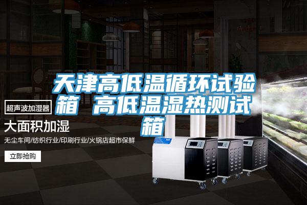 天津高低溫循環試驗箱 高低溫濕熱測試箱