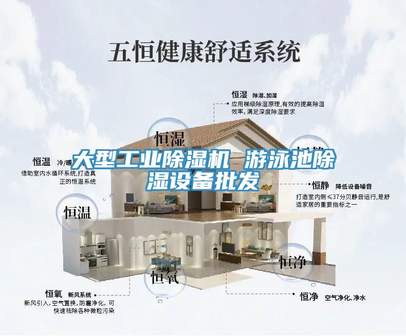 大型工業(yè)除濕機 游泳池除濕設(shè)備批發(fā)