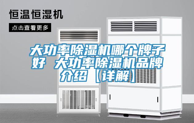 大功率除濕機哪個牌子好 大功率除濕機品牌介紹【詳解】