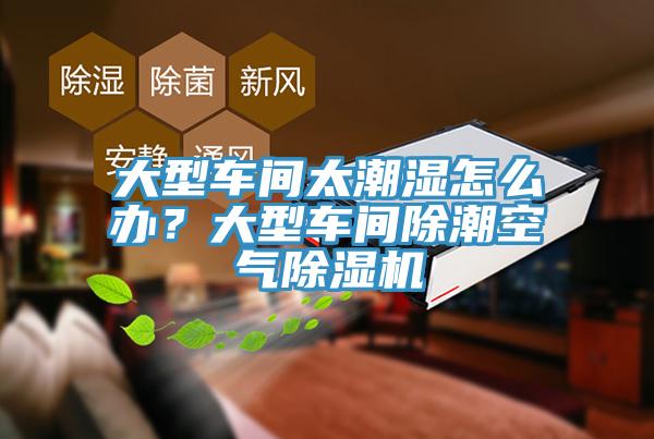 大型車間太潮濕怎么辦？大型車間除潮空氣除濕機