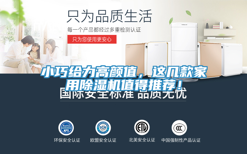 小巧給力高顏值，這幾款家用除濕機(jī)值得推薦！