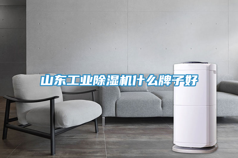 山東工業(yè)除濕機什么牌子好