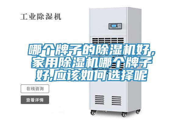 哪個牌子的除濕機好，家用除濕機哪個牌子好,應該如何選擇呢
