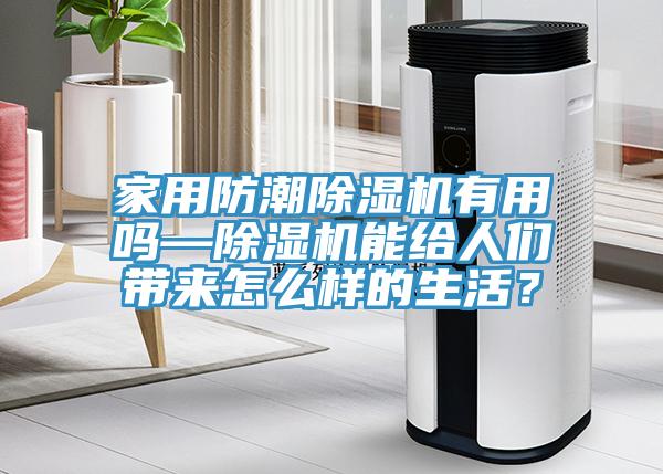 家用防潮除濕機有用嗎—除濕機能給人們帶來怎么樣的生活？