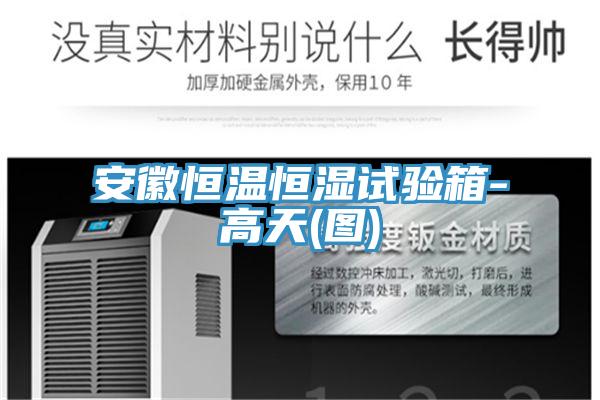 安徽恒溫恒濕試驗箱-高天(圖)
