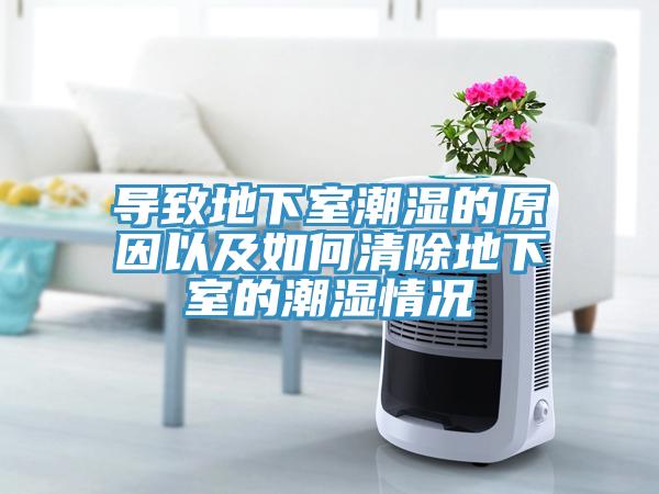 導致地下室潮濕的原因以及如何清除地下室的潮濕情況