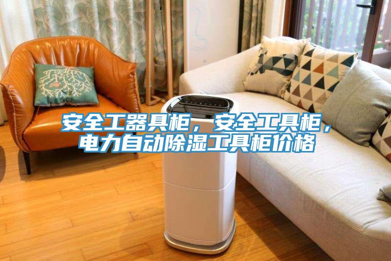 安全工器具柜，安全工具柜，電力自動除濕工具柜價格