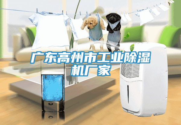 廣東高州市工業除濕機廠家