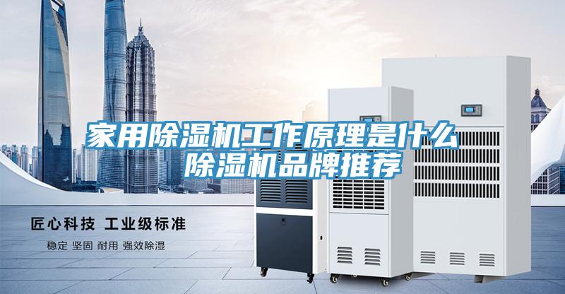 家用除濕機(jī)工作原理是什么  除濕機(jī)品牌推薦