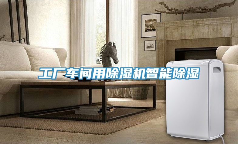 工廠車間用除濕機智能除濕