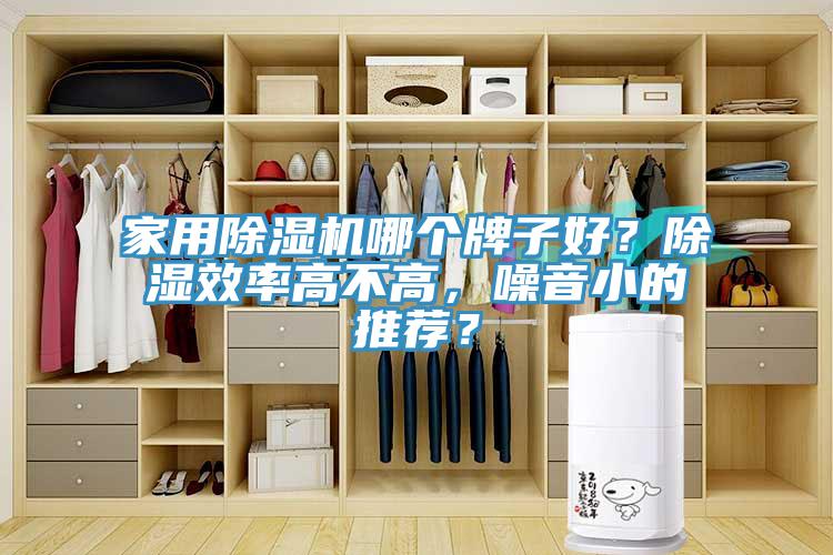 家用除濕機(jī)哪個(gè)牌子好？除濕效率高不高，噪音小的推薦？