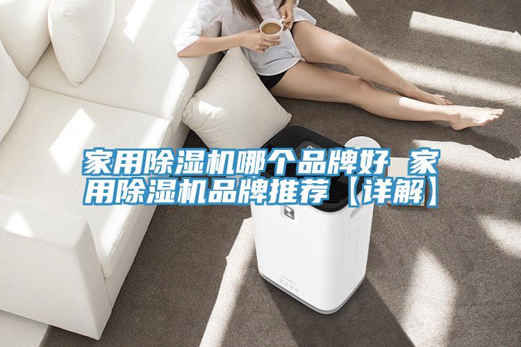 家用除濕機哪個品牌好 家用除濕機品牌推薦【詳解】