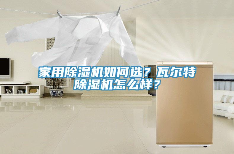 家用除濕機如何選？瓦爾特除濕機怎么樣？