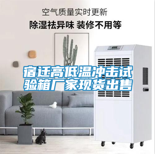 宿遷高低溫沖擊試驗箱廠家現貨出售