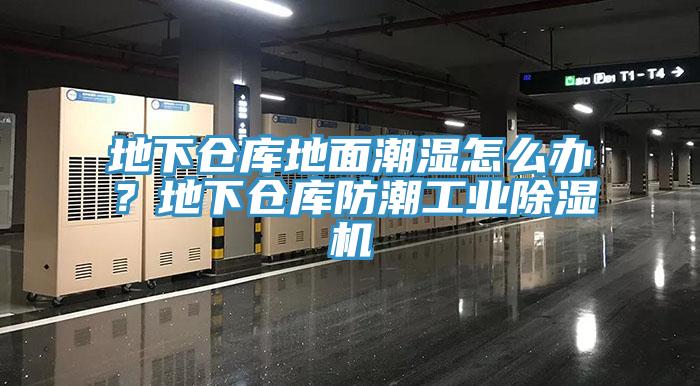 地下倉庫地面潮濕怎么辦？地下倉庫防潮工業(yè)除濕機