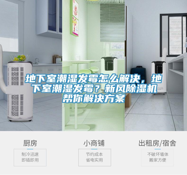 地下室潮濕發(fā)霉怎么解決，地下室潮濕發(fā)霉？新風(fēng)除濕機(jī)幫你解決方案