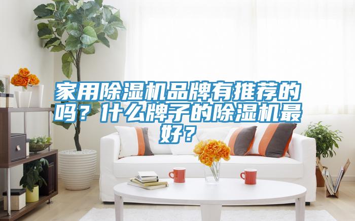 家用除濕機品牌有推薦的嗎？什么牌子的除濕機最好？