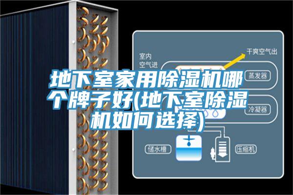 地下室家用除濕機(jī)哪個牌子好(地下室除濕機(jī)如何選擇)