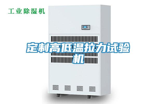 定制高低溫拉力試驗(yàn)機(jī)