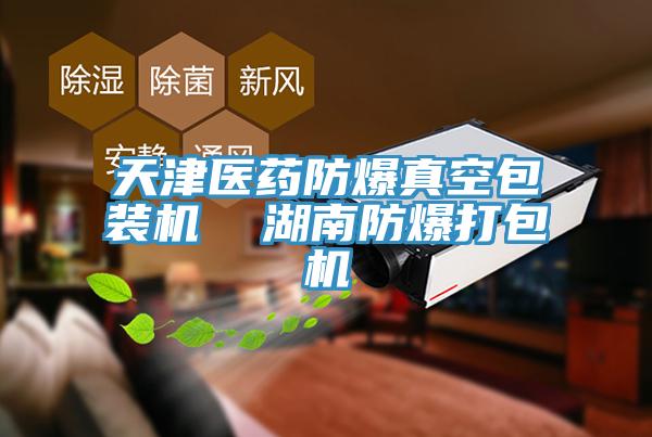 天津醫(yī)藥防爆真空包裝機  湖南防爆打包機