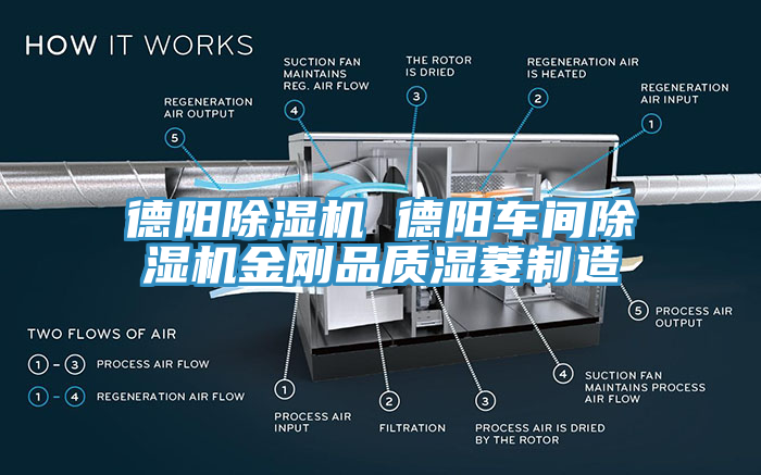 德陽除濕機 德陽車間除濕機金剛品質濕菱制造