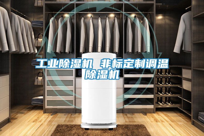 工業除濕機 非標定制調溫除濕機