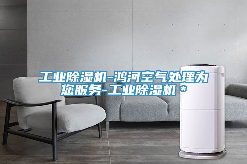 工業除濕機-鴻河空氣處理為您服務-工業除濕機＊