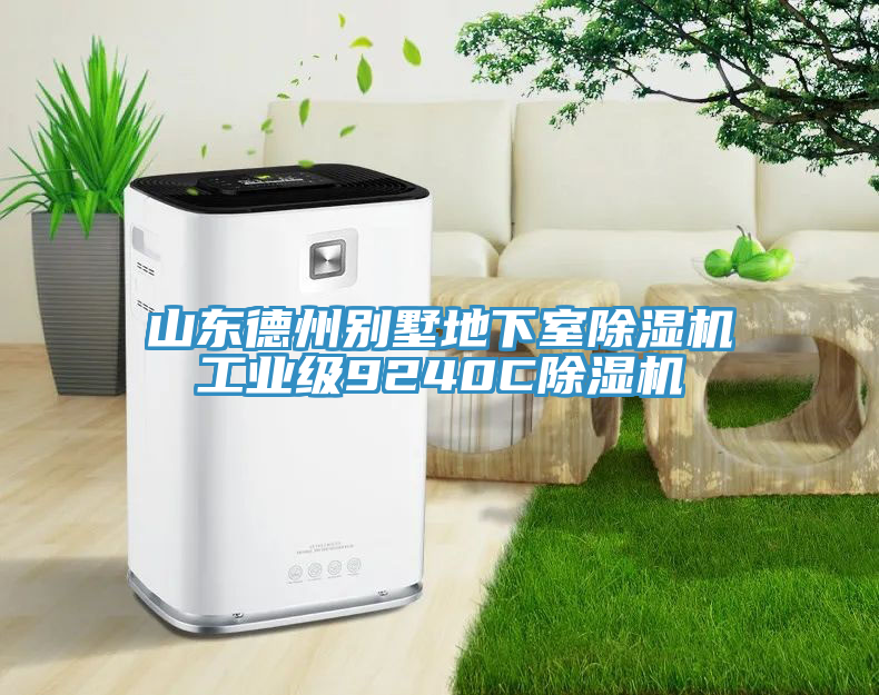 山東德州別墅地下室除濕機工業(yè)級9240C除濕機