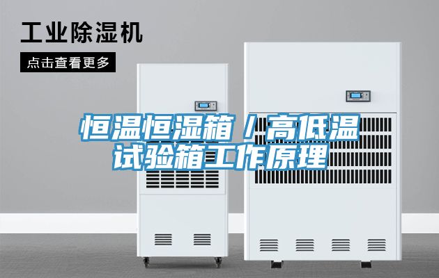 恒溫恒濕箱／高低溫試驗(yàn)箱工作原理