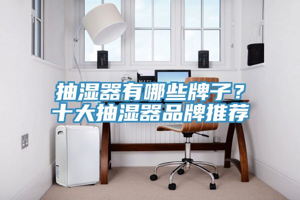抽濕器有哪些牌子？十大抽濕器品牌推薦
