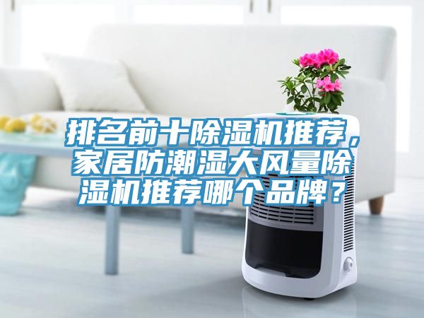 排名前十除濕機推薦，家居防潮濕大風量除濕機推薦哪個品牌？