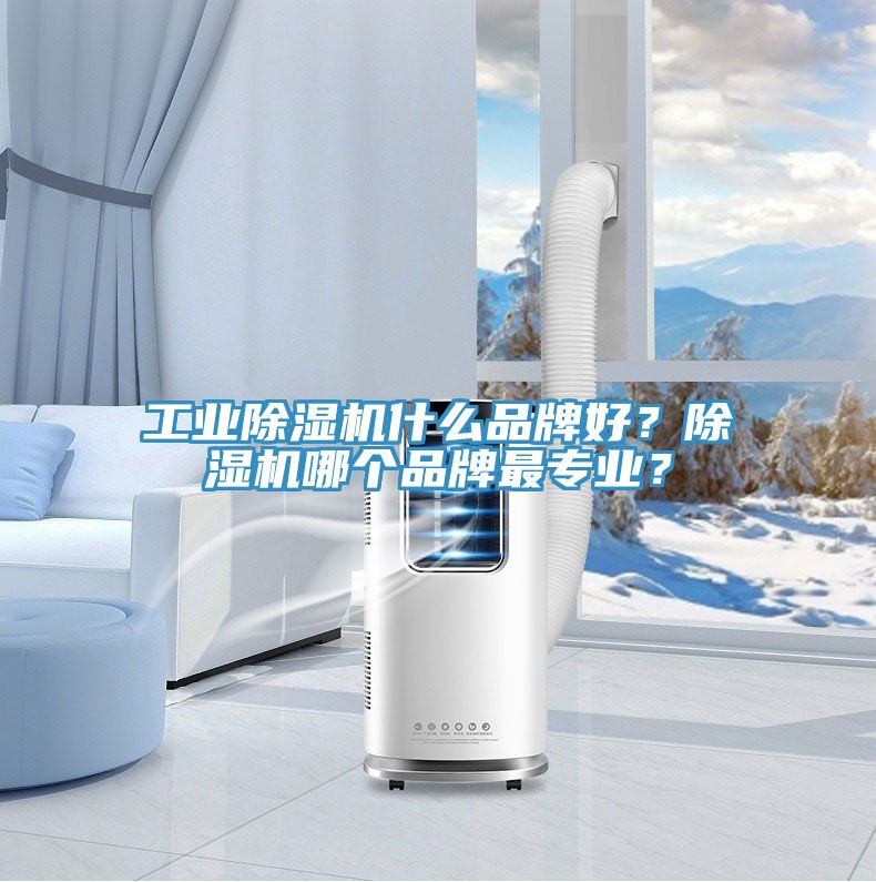工業除濕機什么品牌好？除濕機哪個品牌最專業？
