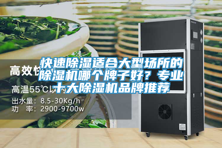 快速除濕適合大型場所的除濕機哪個牌子好？專業十大除濕機品牌推薦