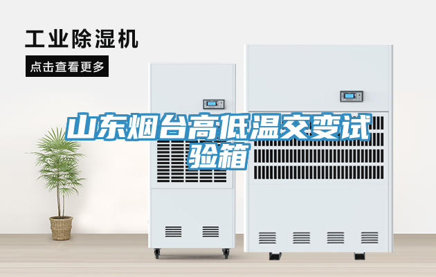 山東煙臺高低溫交變試驗箱