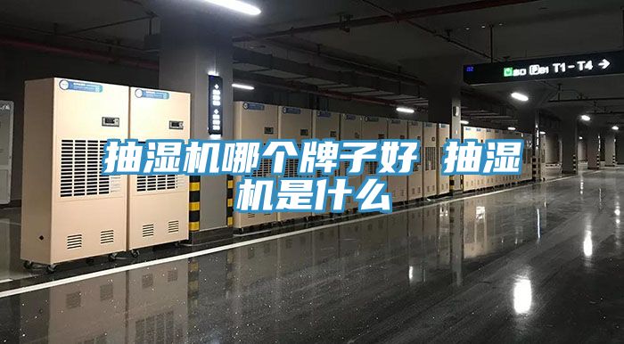 抽濕機哪個牌子好 抽濕機是什么
