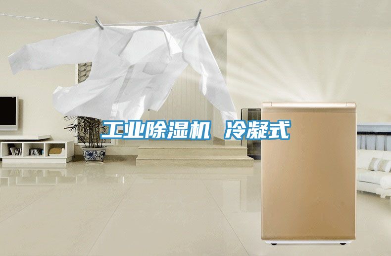 工業除濕機 冷凝式