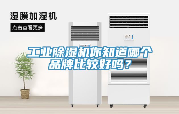 工業除濕機你知道哪個品牌比較好嗎？
