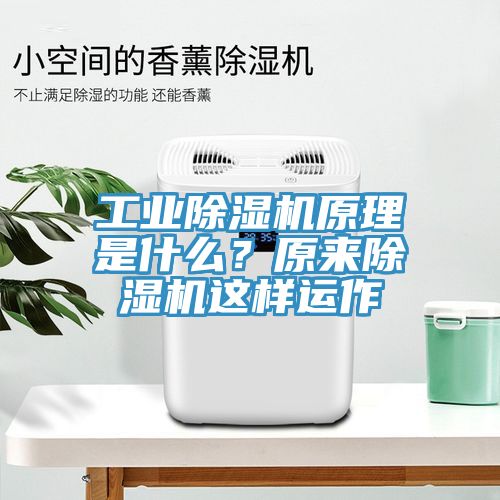 工業除濕機原理是什么？原來除濕機這樣運作