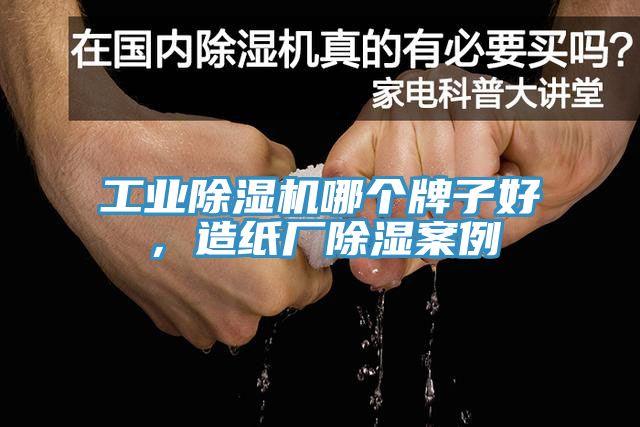 工業除濕機哪個牌子好，造紙廠除濕案例