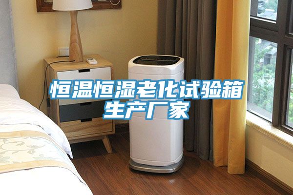 恒溫恒濕老化試驗箱生產廠家