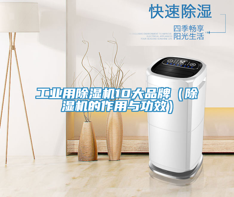 工業用除濕機10大品牌（除濕機的作用與功效）