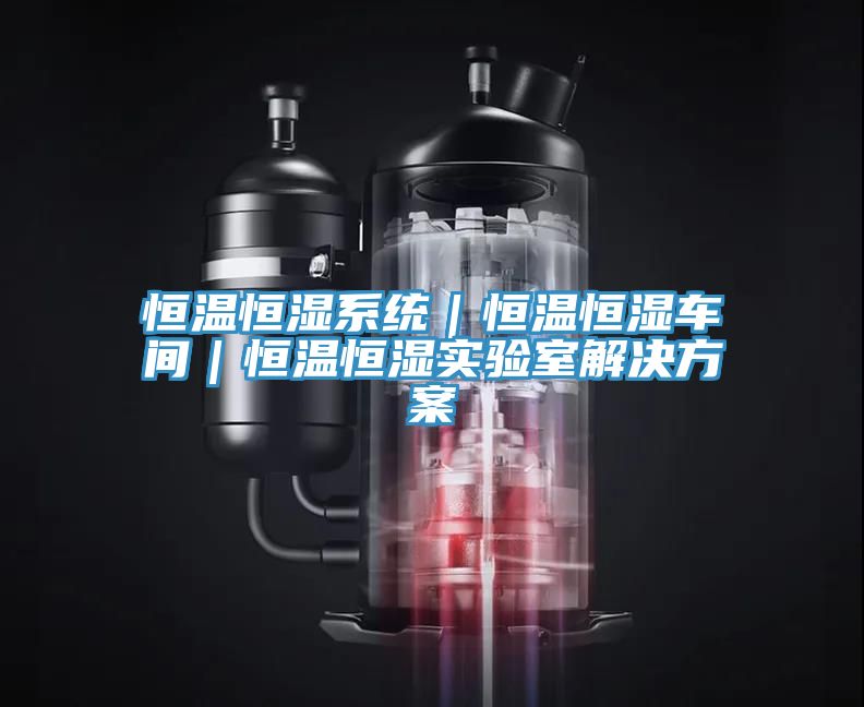 恒溫恒濕系統|恒溫恒濕車間|恒溫恒濕實驗室解決方案