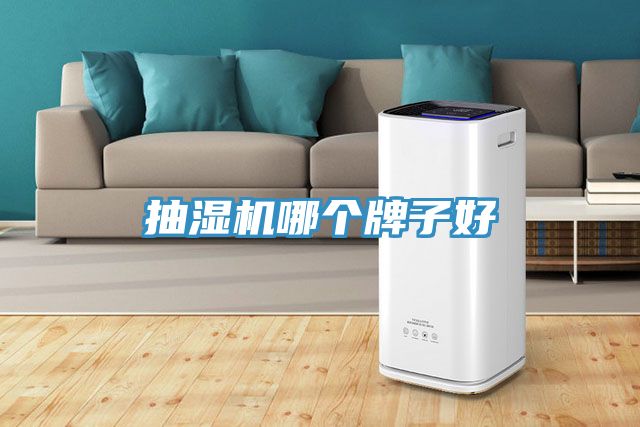 抽濕機哪個牌子好