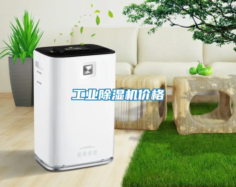 工業除濕機價格