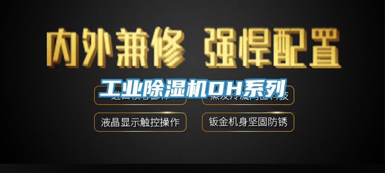 工業除濕機DH系列
