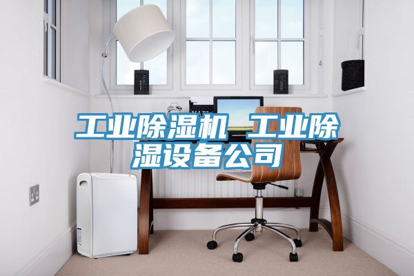工業除濕機 工業除濕設備公司