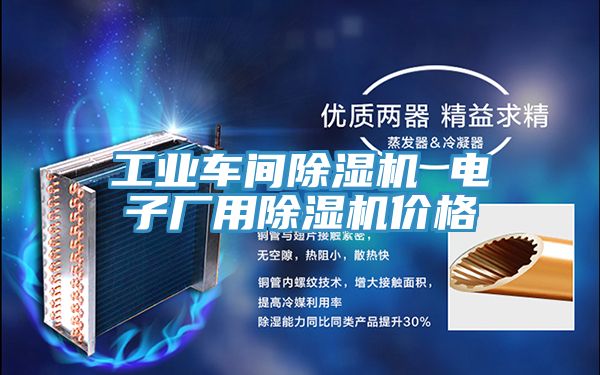 工業車間除濕機 電子廠用除濕機價格