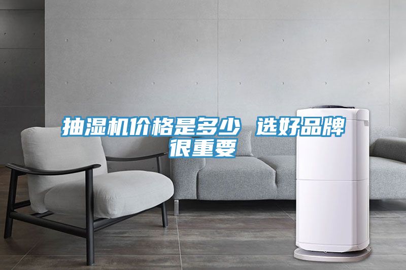 抽濕機價格是多少 選好品牌很重要