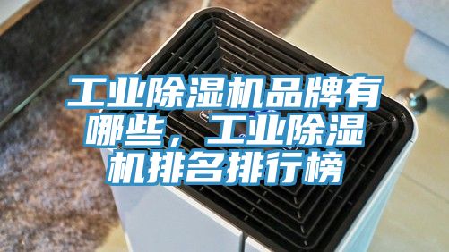 工業(yè)除濕機品牌有哪些，工業(yè)除濕機排名排行榜